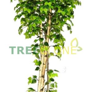 Искусственное дерево Береза